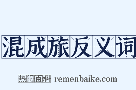 混成旅反义词是什么意思的图片